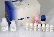 HCV elisa kits
